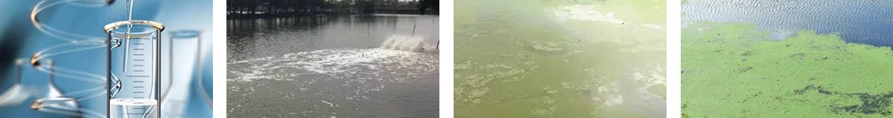 水質(zhì)測試