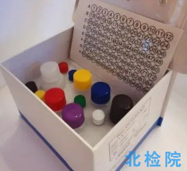 白蛋白測定試劑(盒)測試